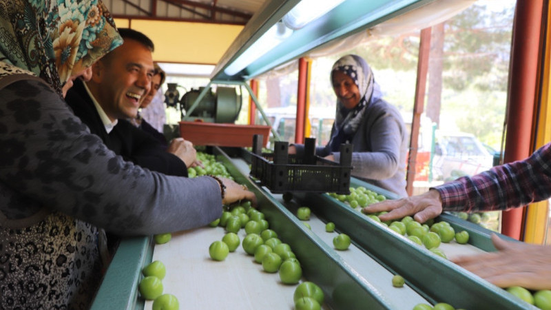 Altunok, Silifke Erik Pazarını Ziyaret Etti