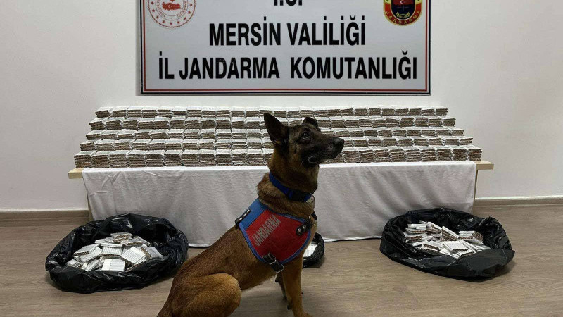 JANDARMADAN KAÇAK MAKARONA SUÇÜSTÜ