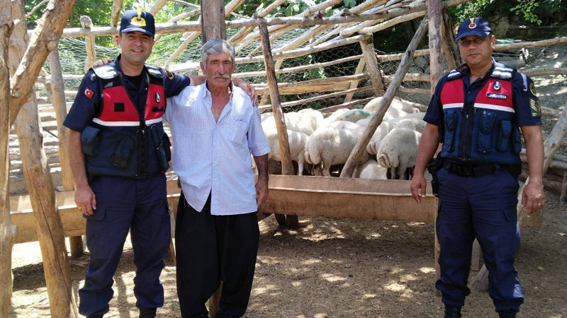 Jandarma Hayvan Hırsızlarını Kıskıvrak Yakaladı